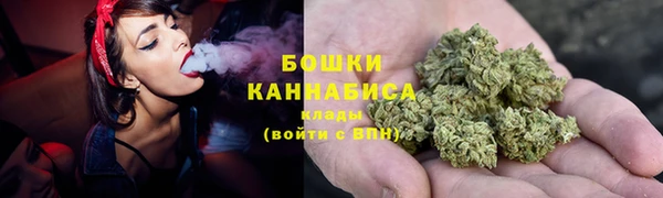 spice Дмитриев