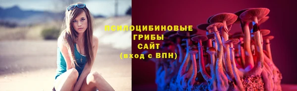 spice Дмитриев