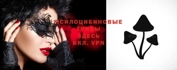 spice Дмитриев