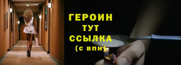 spice Дмитриев