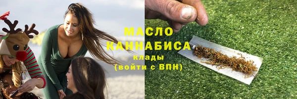 spice Дмитриев