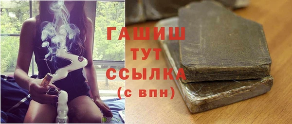 spice Дмитриев