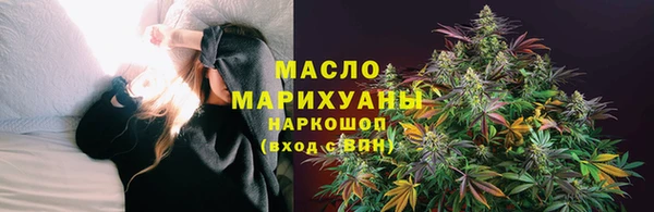 spice Дмитриев