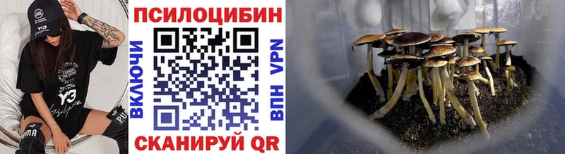 Галлюциногенные грибы GOLDEN TEACHER  Купить закладки  Сальск 